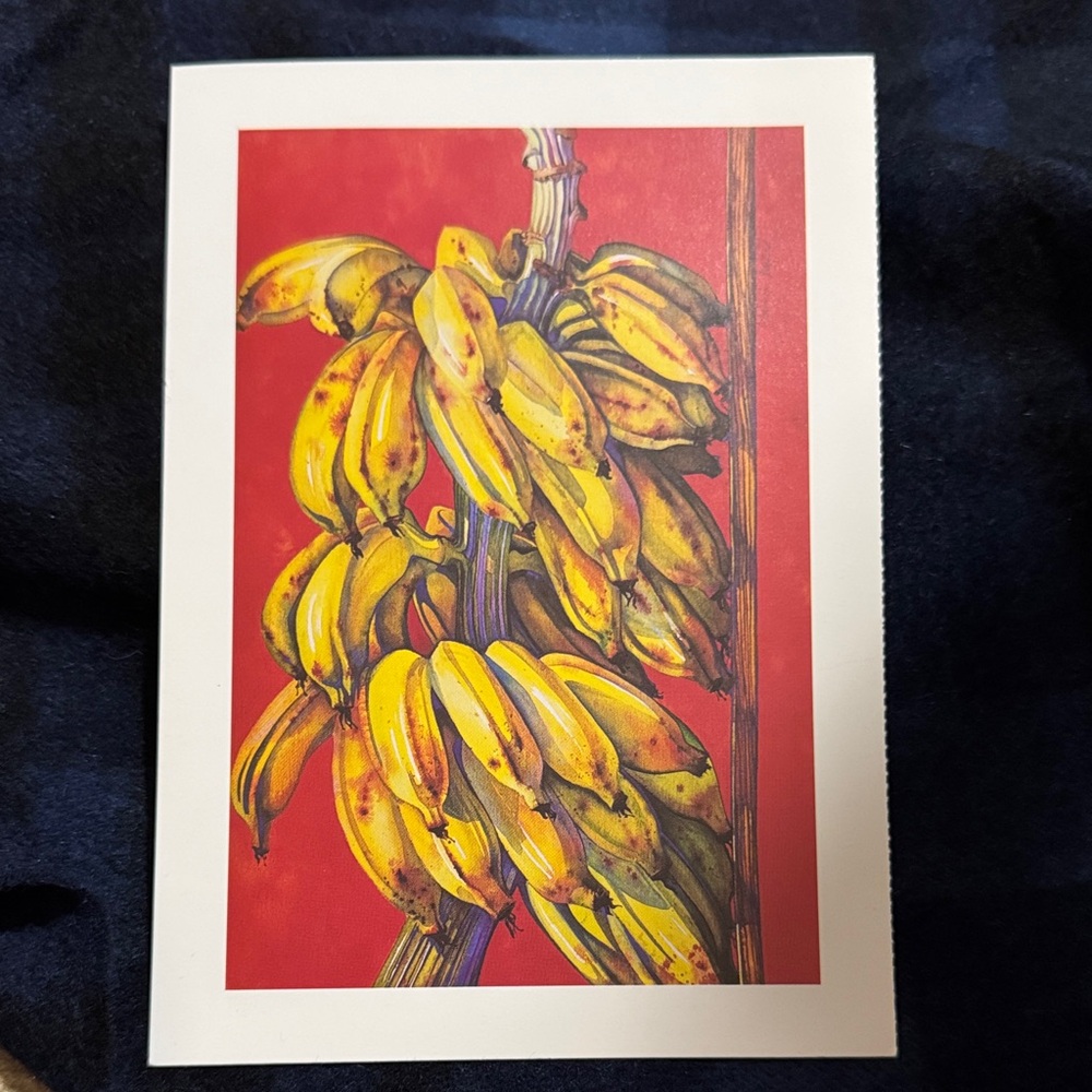 Golden Banana Cluster Art Postcard Print